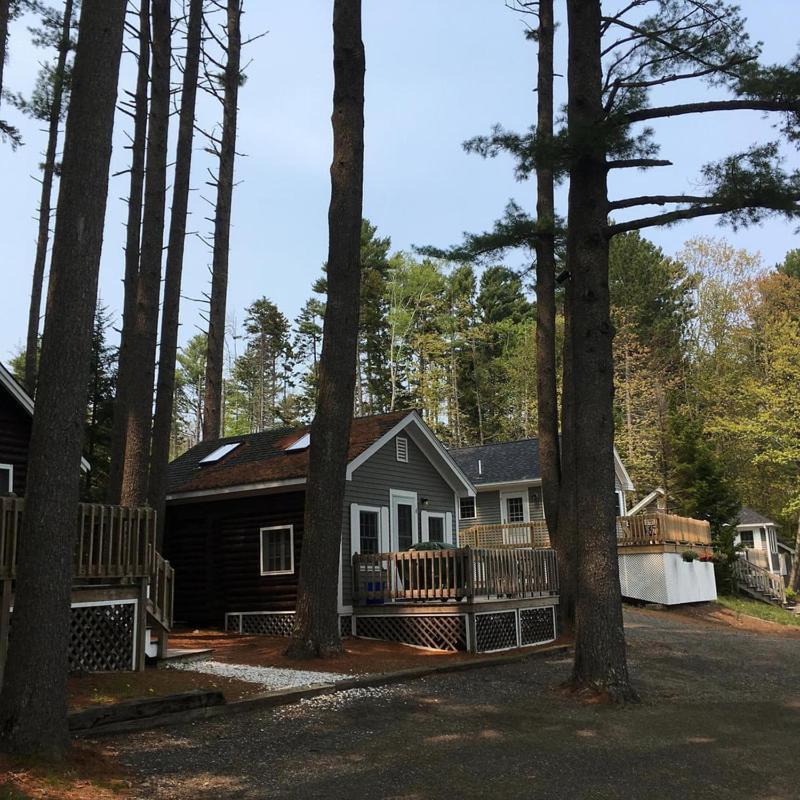 Pine Grove Cottages Lincolnville Exterior foto